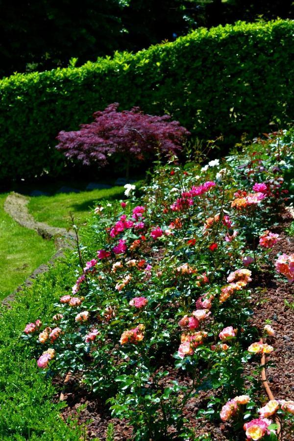 Le Grigne Guesthouse - The Garden Oliveto Lario Kültér fotó