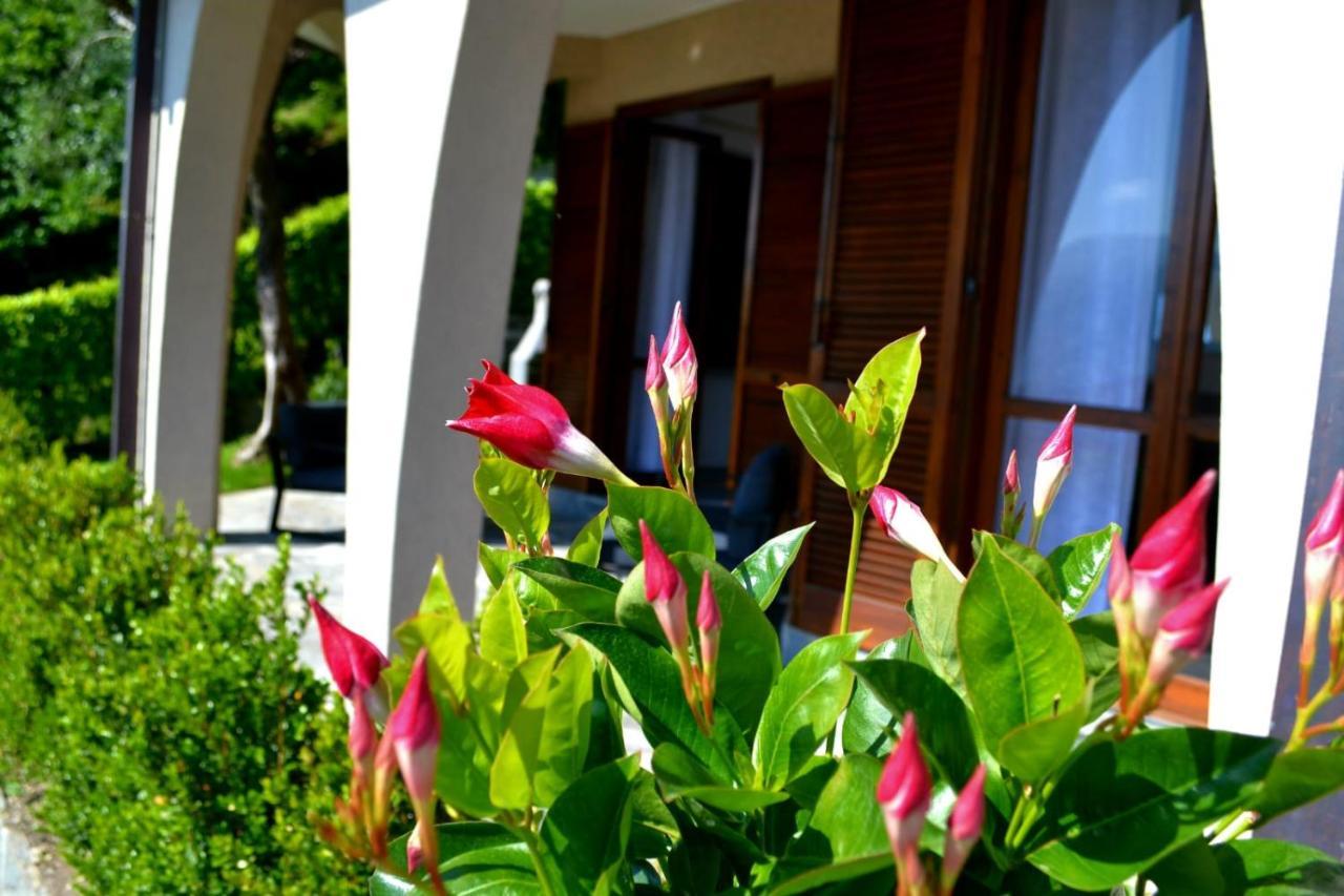 Le Grigne Guesthouse - The Garden Oliveto Lario Kültér fotó