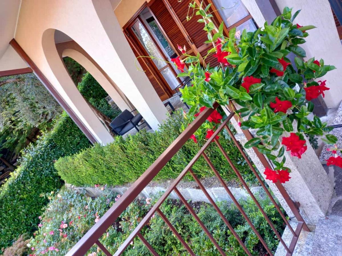Le Grigne Guesthouse - The Garden Oliveto Lario Kültér fotó